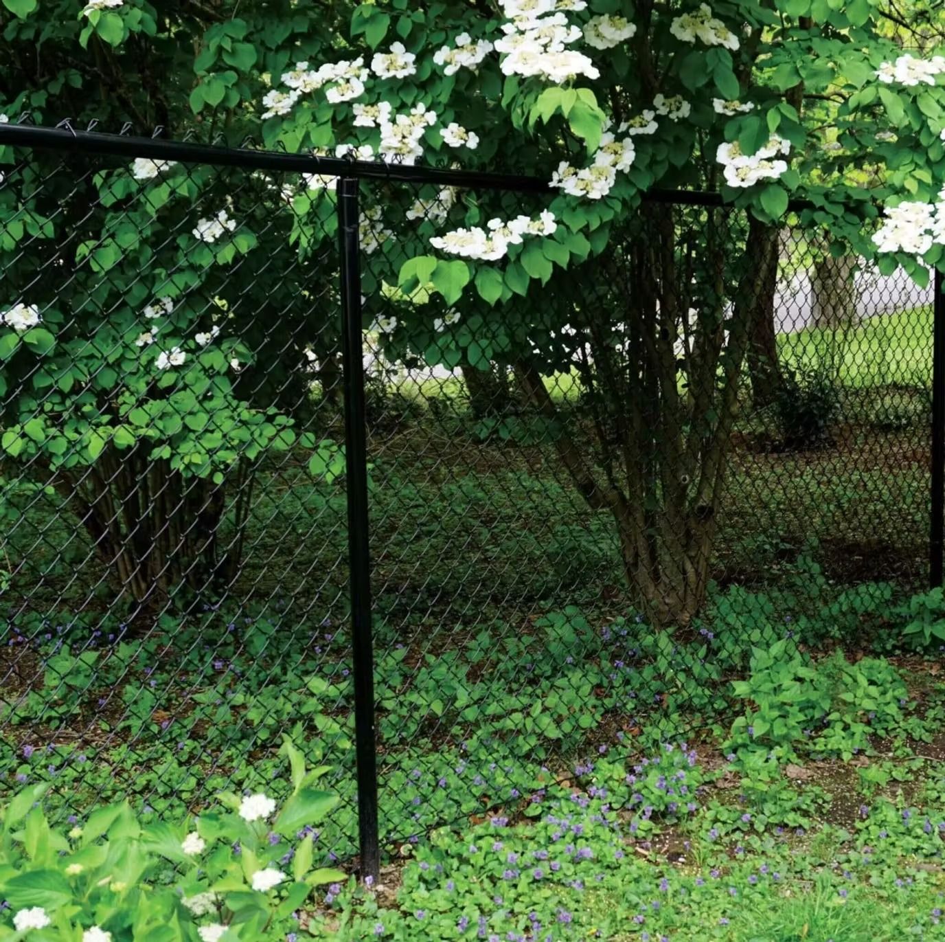 Stunning custom pool